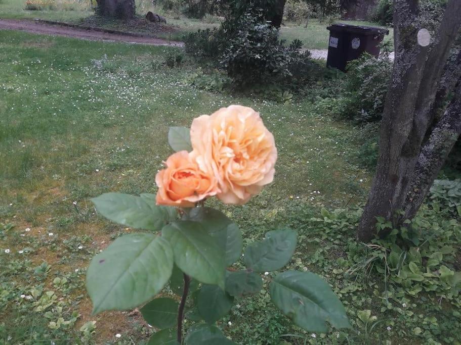 Apartament La Parenthese Campagnarde Richarville Zewnętrze zdjęcie